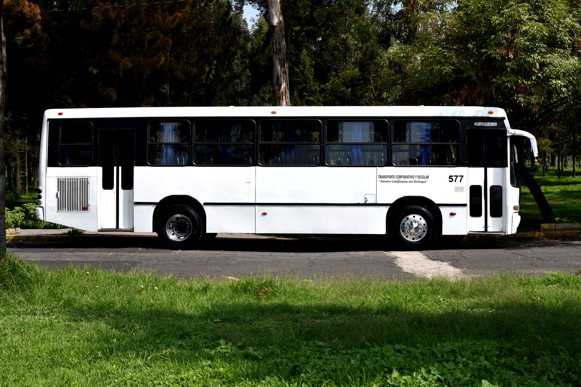 autobus-torino-tepasa-transportes2