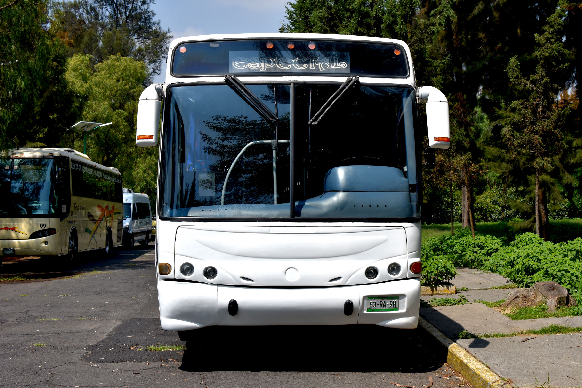 autobus-torino-tepasa-transportes5