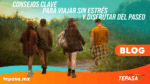 Viajar sin estrés Consejos clave para disfrutar plenamente del paseo